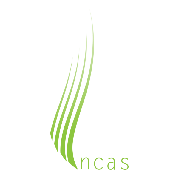 incas Logo PNG Vector