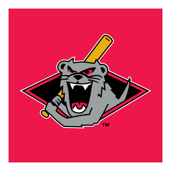 Jamestown Jammers Logo PNG Vector