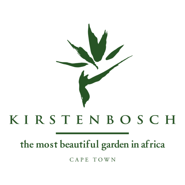 Kirsten Bosch Logo PNG Vector