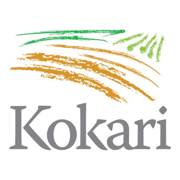 Kokari Logo PNG Vector