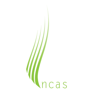 incas Logo PNG Vector