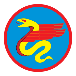 Israel Aircraft Unit Logo PNG Vector