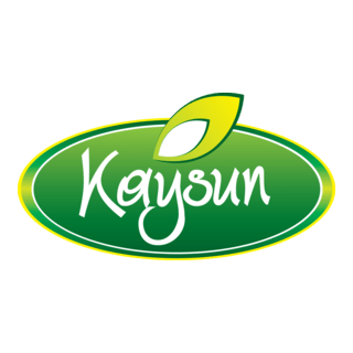 Kaysun Logo PNG Vector