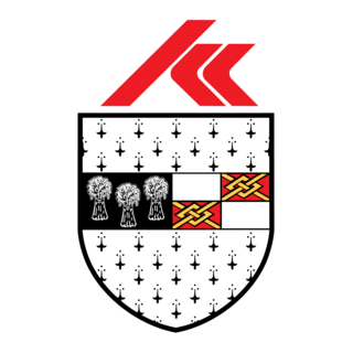 Kilkenny Crest Logo PNG Vector