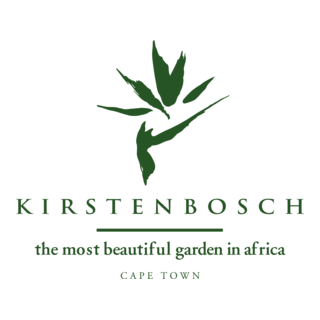 Kirsten Bosch Logo PNG Vector
