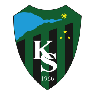 Kocaelispor Logo PNG Vector