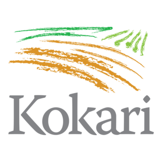 Kokari Logo PNG Vector