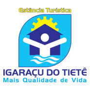 Igaracu do Tiete Logo PNG Vector