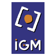 IGM Logo PNG Vector