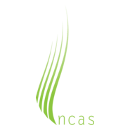 incas Logo PNG Vector