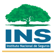 INS Logo PNG Vector