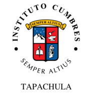 Instituto Cumbres Logo PNG Vector