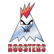 Iserlohn Roosters Logo PNG Vector