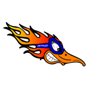 Jetpilot Bird Logo PNG Vector