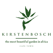 Kirsten Bosch Logo PNG Vector