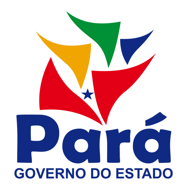 Governo do Pará Logo PNG Vector