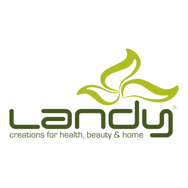 Landy International Logo PNG Vector