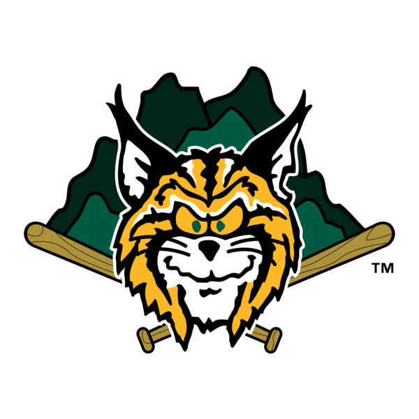 Lynchburg Hillcats Logo PNG Vector