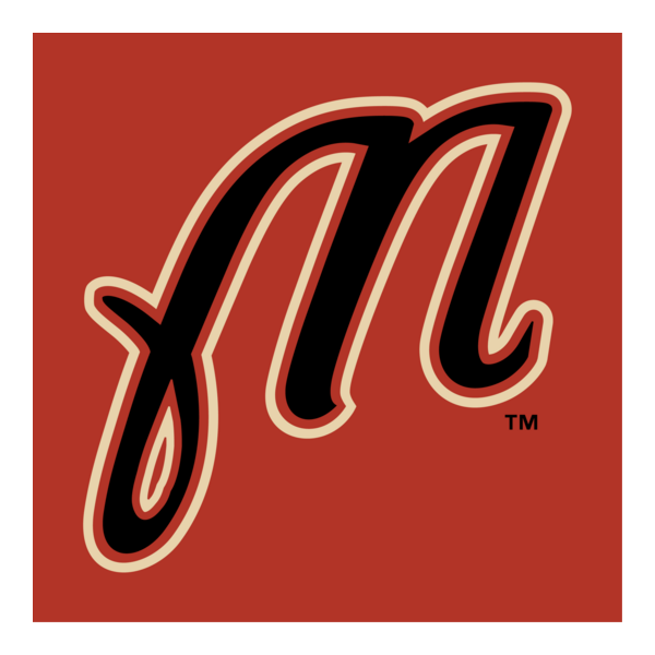 Martinsville Astros Logo PNG Vector