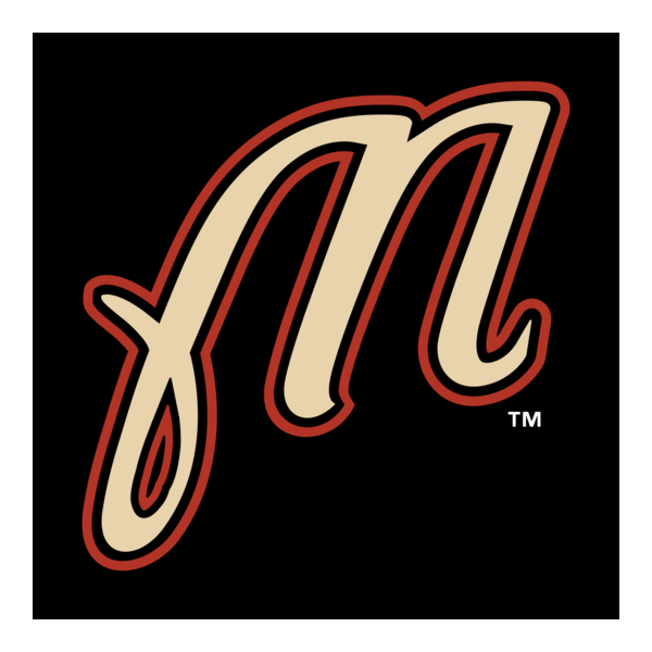 Martinsville Astros Logo PNG Vector