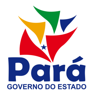Governo do Pará Logo PNG Vector