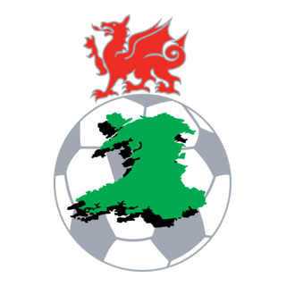 League of Wales Logo PNG Vector