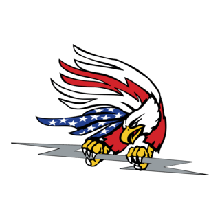 Liberty Electric Logo PNG Vector