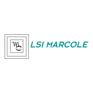 LSI Marcole Logo PNG Vector