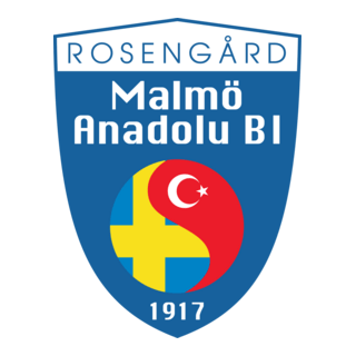 Malmo Anadolu Bi Logo PNG Vectors Free Download malmo-anadolu-bi-logo-png-vectors-free-download