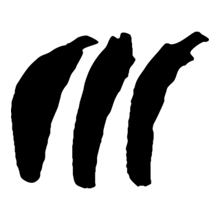 Matthias Loecker Logo PNG Vector