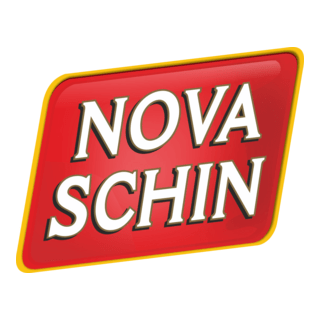 Nova Skin 2007 Corel com Efeitos Logo PNG Vector