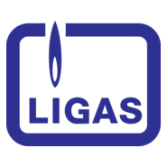 Ligas Logo PNG Vector