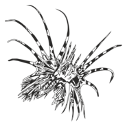 Lion Fish Logo PNG Vector