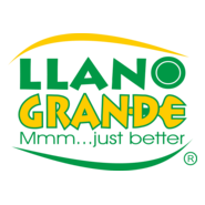 Llano Grande Logo PNG Vector