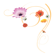 lov Logo PNG Vector