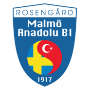 Malmo Anadolu BI Logo PNG Vector