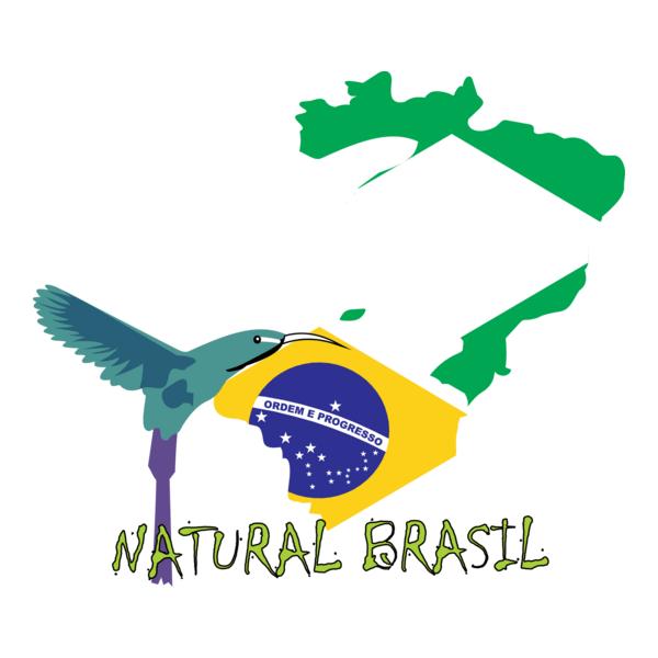 natural brasil Logo PNG Vector