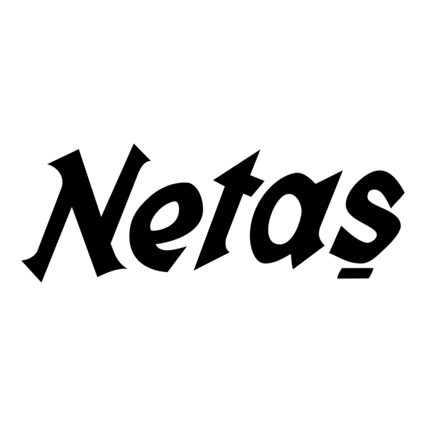 Netas Logo PNG Vector