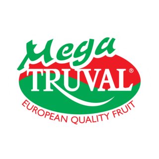 MegaTruval Logo PNG Vector