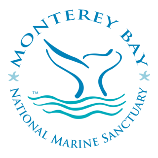 Monterey Bay Logo PNG Vector