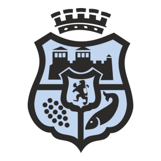 Municipality Vidin Logo PNG Vector