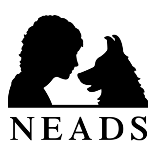 Neads Logo PNG Vector