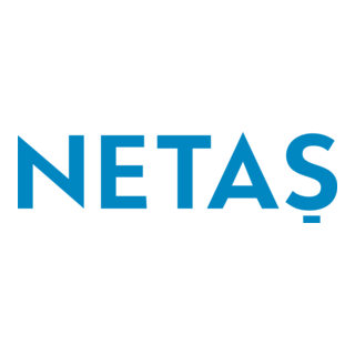 Netaş Logo PNG Vector