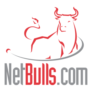 NetBulls.com Logo PNG Vector