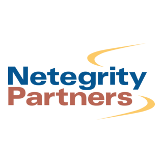 Netegrity Partners Logo PNG Vector
