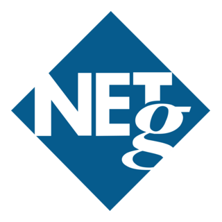 NETg Logo PNG Vector