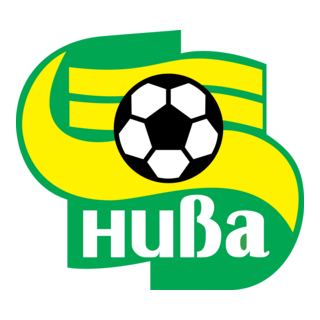 Niva Logo PNG Vector