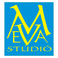 meva studió Logo PNG Vector