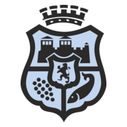 Municipality Vidin Logo PNG Vector