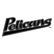 Myrtle Beach Pelicans Logo PNG Vector